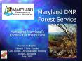 Maryland DNR Forest Service PowerPoint PPT Presentation
