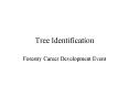 Tree Identification PowerPoint PPT Presentation