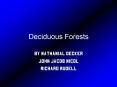 Deciduous Forests PowerPoint PPT Presentation