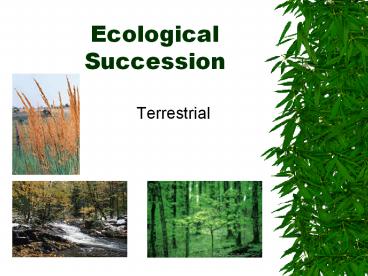 Ecological Succession