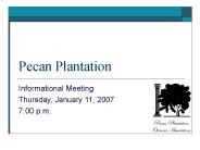 Pecan Plantation