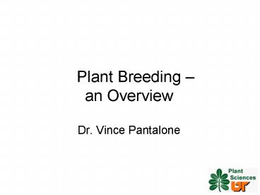 presentation player overlay