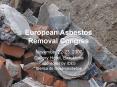 European Asbestos Removal Congres PowerPoint PPT Presentation