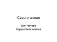 Cucurbitaceae PowerPoint PPT Presentation