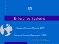 Enterprise Systems PowerPoint PPT Presentation