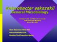 Enterobacter sakazakii General Microbiology PowerPoint PPT Presentation