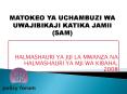 HALMASHAURI YA JIJI LA MWANZA NA HALMASHAURI YA MJI WA KIBAHA, 2008 PowerPoint PPT Presentation