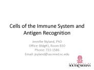 Cells of the Immune System and Antigen Recognition