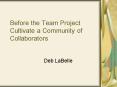 Before the Team Project Cultivate a Community of Collaborators PowerPoint PPT Presentation