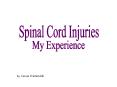 Spinal Cord Injuries PowerPoint PPT Presentation