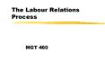 The Labour Relations Process PowerPoint PPT Presentation