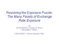 Resolving the Exposure Puzzle: The Many Facets of Exchange Rate Exposure PowerPoint PPT Presentation