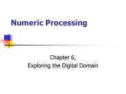 Numeric Processing