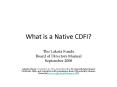 What is a Native CDFI PowerPoint PPT Presentation