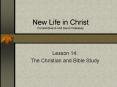 New Life in Christ Forrest Bivens and David Valleskey PowerPoint PPT Presentation