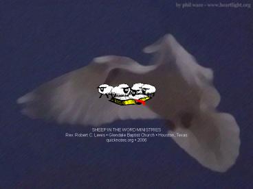 SHEEP IN THE WORD MINISTRIES