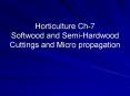 Horticulture Ch7 Softwood and SemiHardwood Cuttings and Micro propagation PowerPoint PPT Presentation