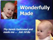 Wonderfully Made