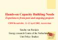 Handson Capacity Building Needs Experiences from past and ongoing projects CDM Roundtable, 1112 Apri PowerPoint PPT Presentation