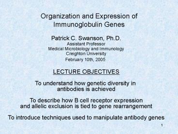 Organization and Expression of Immunoglobulin Genes