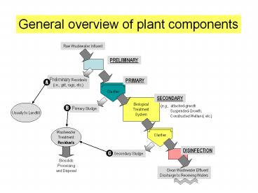 Attached Growth Process