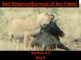 Self RelianceSurvival of the Fittest PowerPoint PPT Presentation