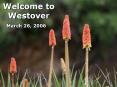 Welcome to Westover PowerPoint PPT Presentation
