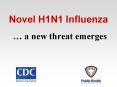 Novel H1N1 Influenza PowerPoint PPT Presentation