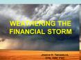 WEATHERING THE FINANCIAL STORM PowerPoint PPT Presentation