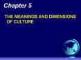 THE MEANINGS AND DIMENSIONS OF CULTURE PowerPoint PPT Presentation