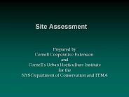 Site Assessment