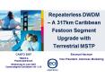 Repeaterless DWDM A 317km Caribbean Festoon Segment Upgrade with Terrestrial MSTP PowerPoint PPT Presentation