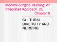 MedicalSurgical Nursing: An Integrated Approach, 2E Chapter 6 PowerPoint PPT Presentation