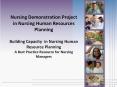 Nursing Demonstration Project in Nursing Human Resources Planning Building Capacity in Nursing Human PowerPoint PPT Presentation