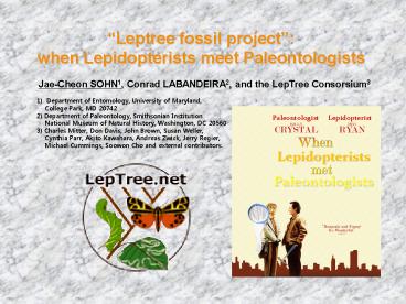 presentation player overlay