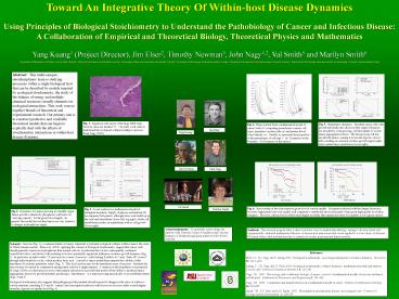 Toward An Integrative Theory Of Withinhost Disease Dynamics
