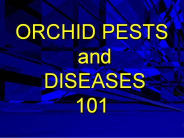ORCHID PESTS and DISEASES 101