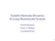Scalable Molecular Dynamics for Large Biomolecular Systems