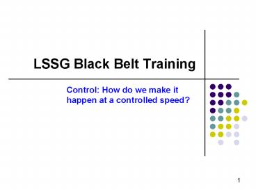 LSSG Black Belt Training