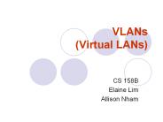 VLANs (Virtual LANs)