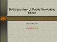 Birds eye view of Mobile Networking Space PowerPoint PPT Presentation