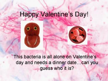 Happy Valentines Day