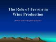The Role of Terroir in Wine Production PowerPoint PPT Presentation