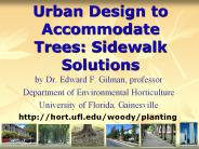 Urban Design to Accommodate Trees: Sidewalk Solutions