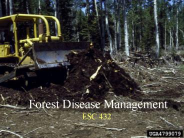 Forest Disease Management