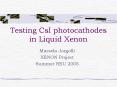 Testing CsI photocathodes in Liquid Xenon PowerPoint PPT Presentation