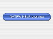 NATFW NSLP overview