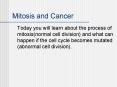 Mitosis and Cancer PowerPoint PPT Presentation