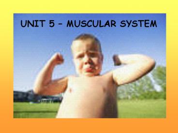 UNIT 5 MUSCULAR SYSTEM
