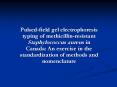 Pulsedfield gel electrophoresis typing of methicillinresistant Staphylococcus aureus in Canada: An e PowerPoint PPT Presentation